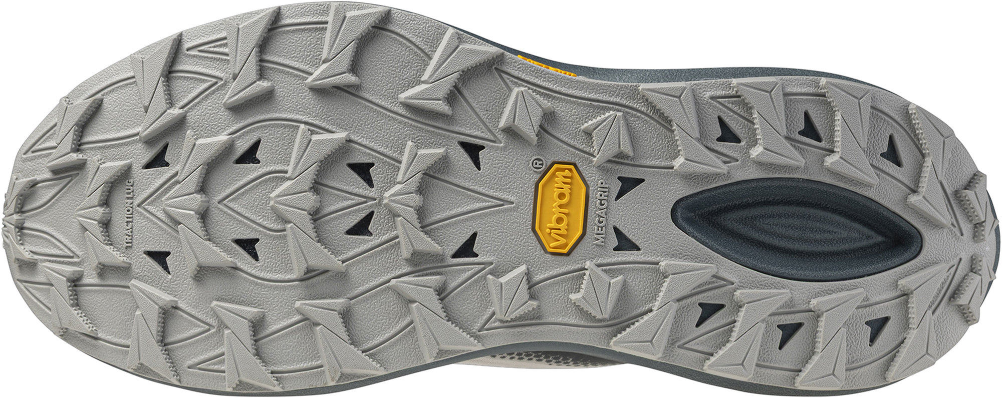 Mizuno Neo Daichi 10 Mens Trail Running Shoes - Grey
