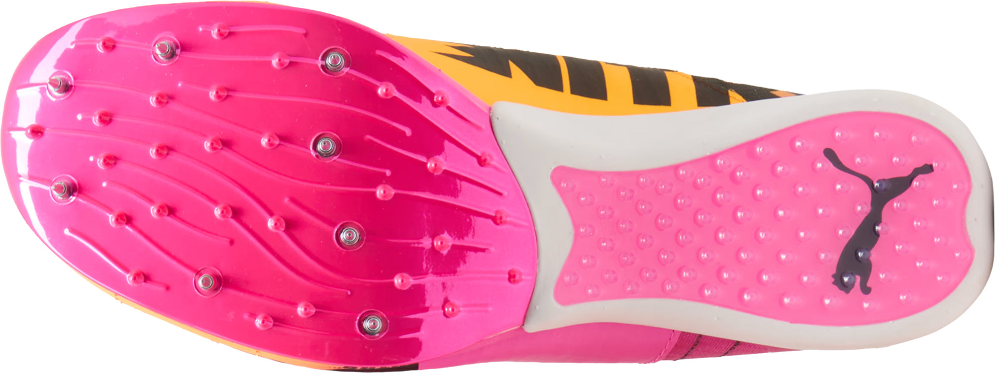 Puma evoSpeed Nitro Elite Triple Jump Field Event Spikes - Pink