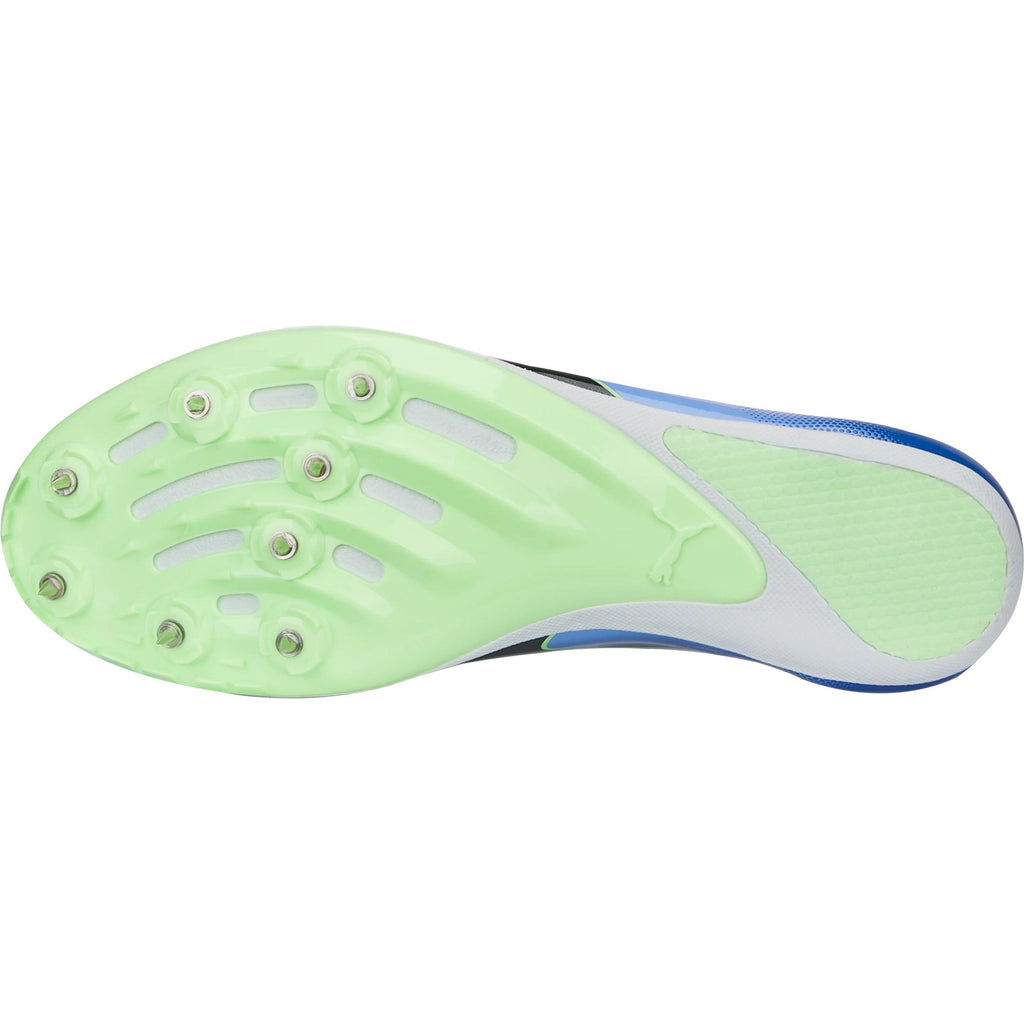 Puma evoSpeed Sprint 14 Running Spikes - Purple