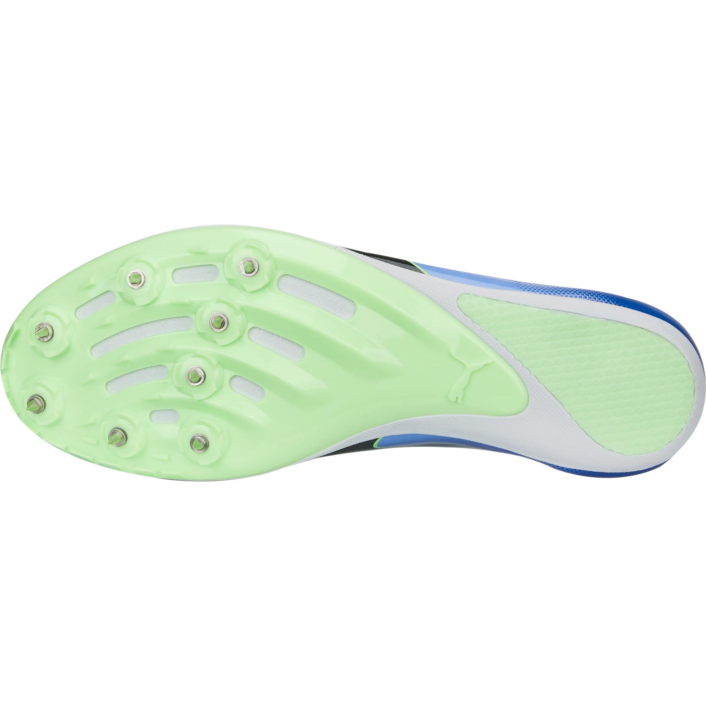 Puma evoSpeed Sprint 14 Running Spikes - Purple